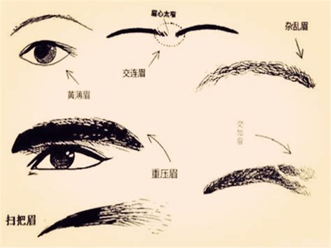 眉毛面相學|【面相 眉毛】從面相看穿你的眉毛奧秘：解析28種眉毛，掌握人。